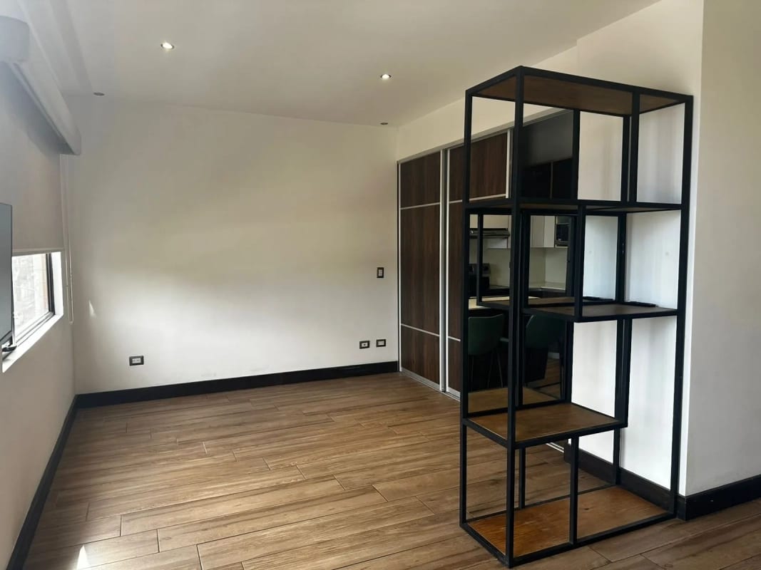 Apartamento amueblado tipo estudio en Zona 10 — Apartamento en Alquiler en Zona 10, Guatemala, Ciudad — foto 4 de 5
