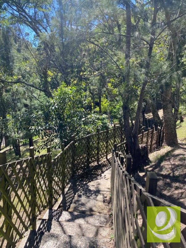 VENDO APARTAMENTO EN ALTA VILLA NARANJO Z11 MIXCO - 5