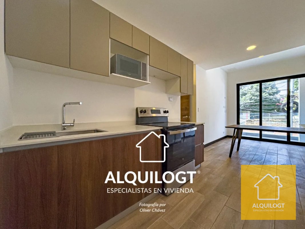 APARTAMENTO AMUEBLADO  ZONA 10 DE 1 HAB AGT2689 - 6