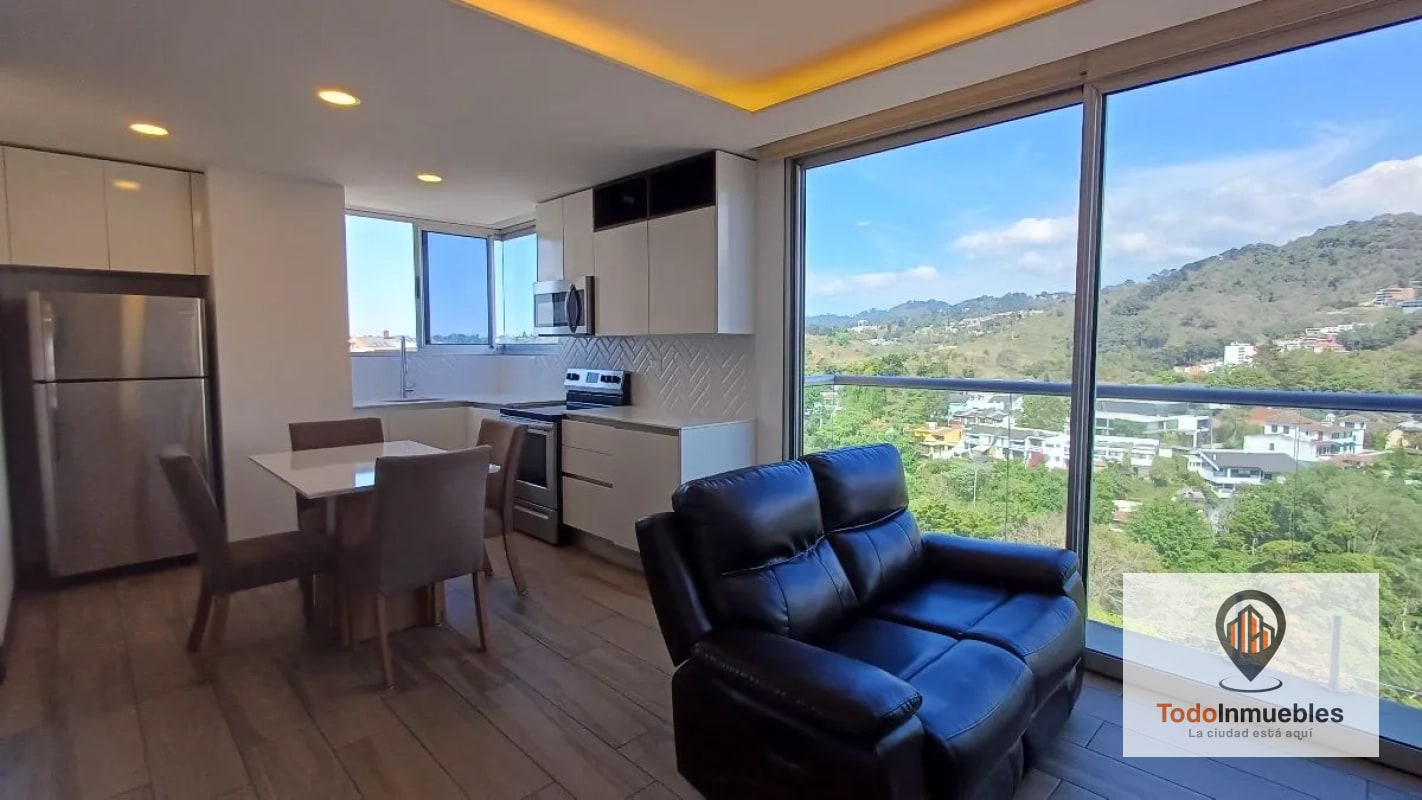 Apartamento en Renta en Cassia z15 - 14