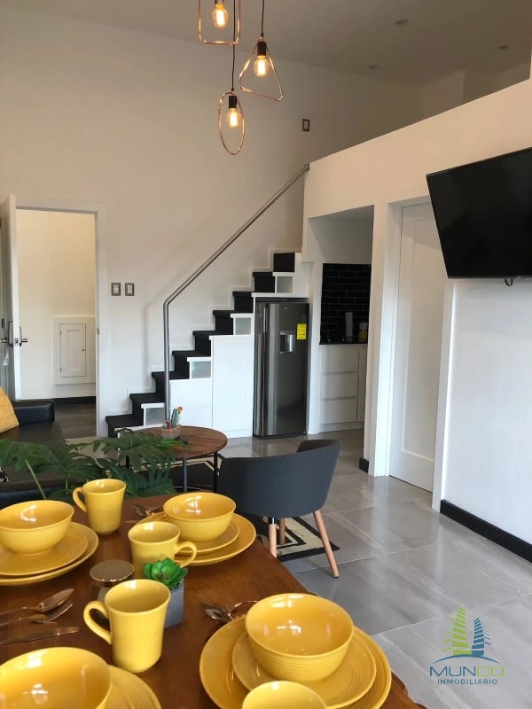 APARTAMENTO AMOBLADO TIPO LOFT EN RENTA, Z. 15 - 10