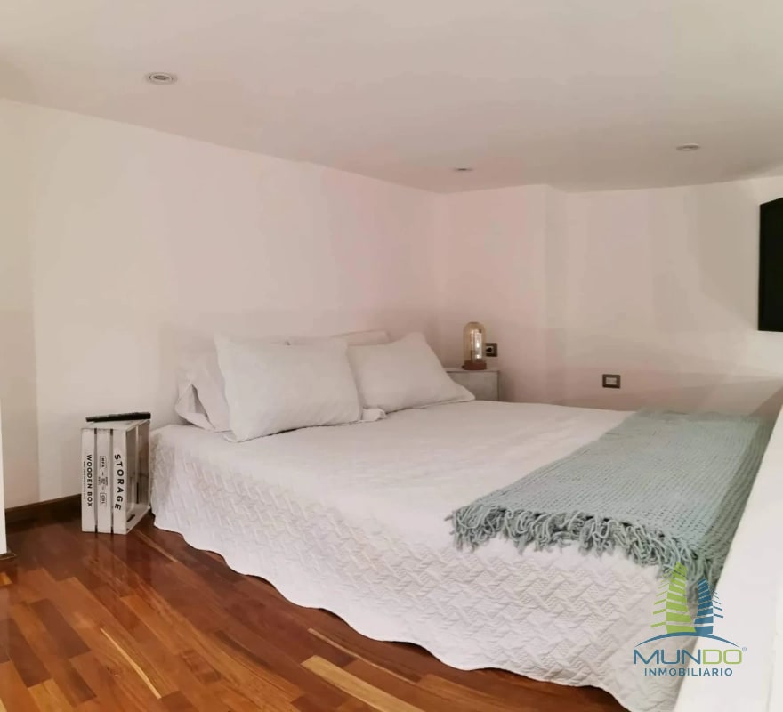 APARTAMENTO AMOBLADO TIPO LOFT EN RENTA, Z. 15 - 9