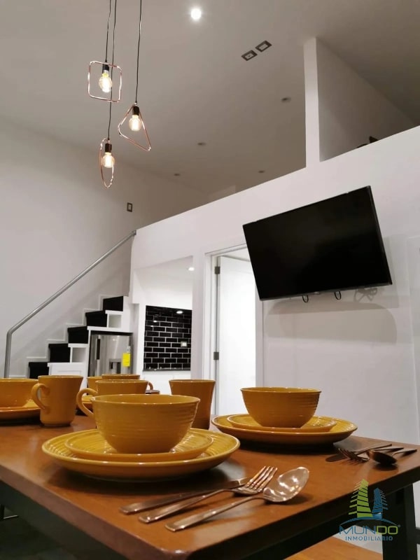 APARTAMENTO AMOBLADO TIPO LOFT EN RENTA, Z. 15 - 5