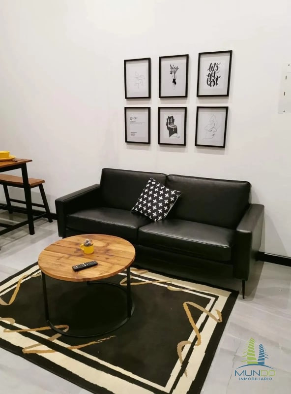 APARTAMENTO AMOBLADO TIPO LOFT EN RENTA, Z. 15 - 2