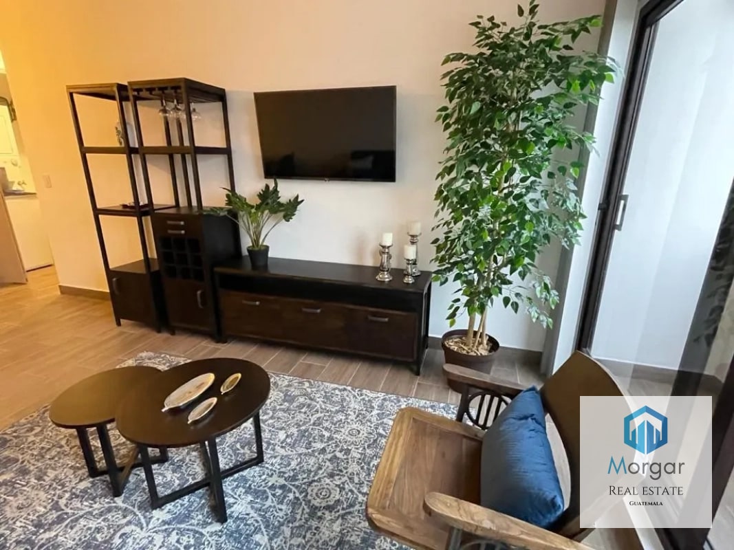 Apartamento amuebaldo en renta - 11