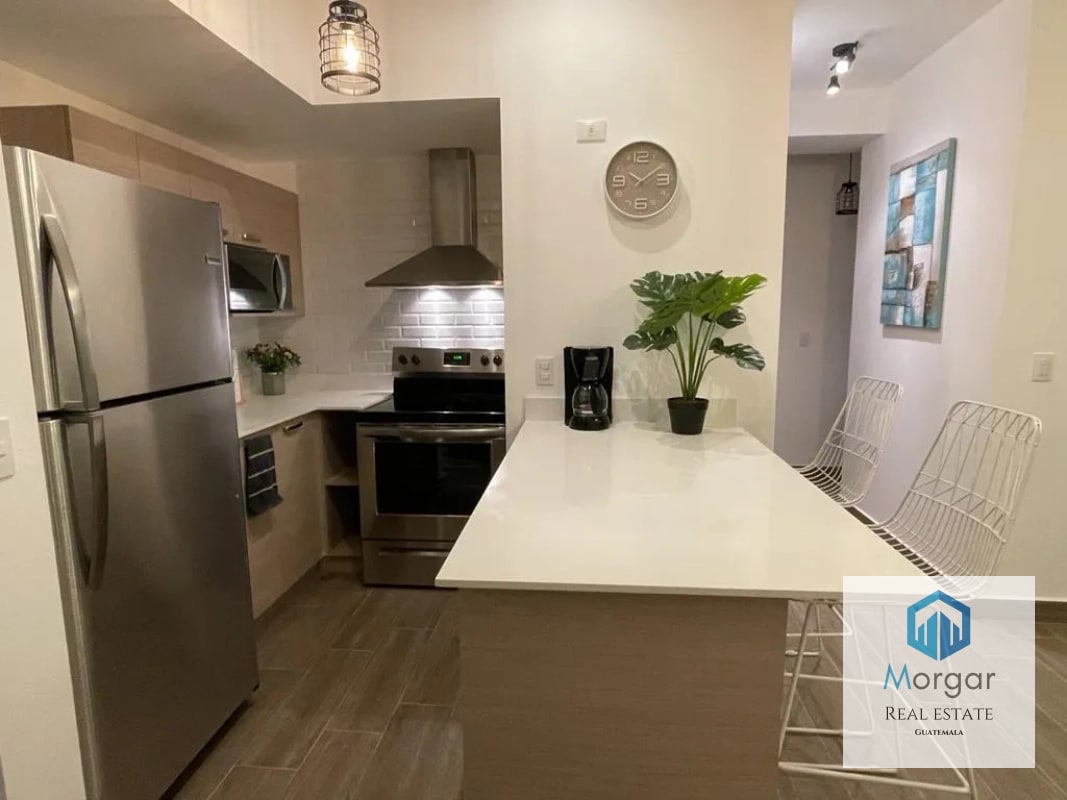 Apartamento amuebaldo en renta - 7
