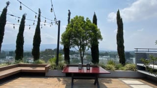 ALQUILO APARTAMENTO EDIFICIO BALMES 47 ZONA 11 — Apartamento en Alquiler en Balmes 47, Zona 11, Guatemala, Ciudad — miniatura 2 de 17
