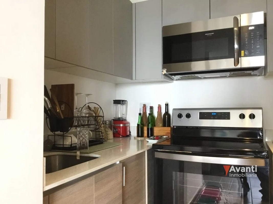ALQUILO APARTAMENTO ZONA 10, PARQUE 10 CON O SIN MUEBLES - 9