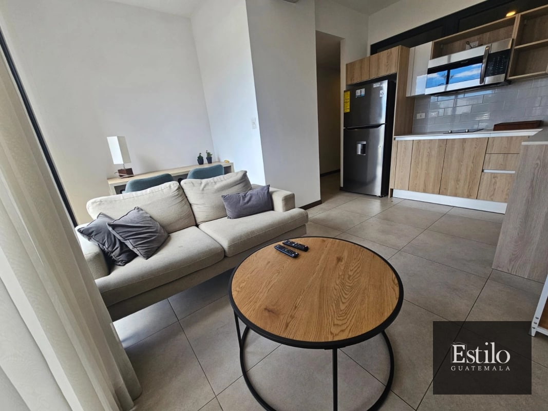 APARTAMENTO AMUEBLADO MIRA Z.10 - 3