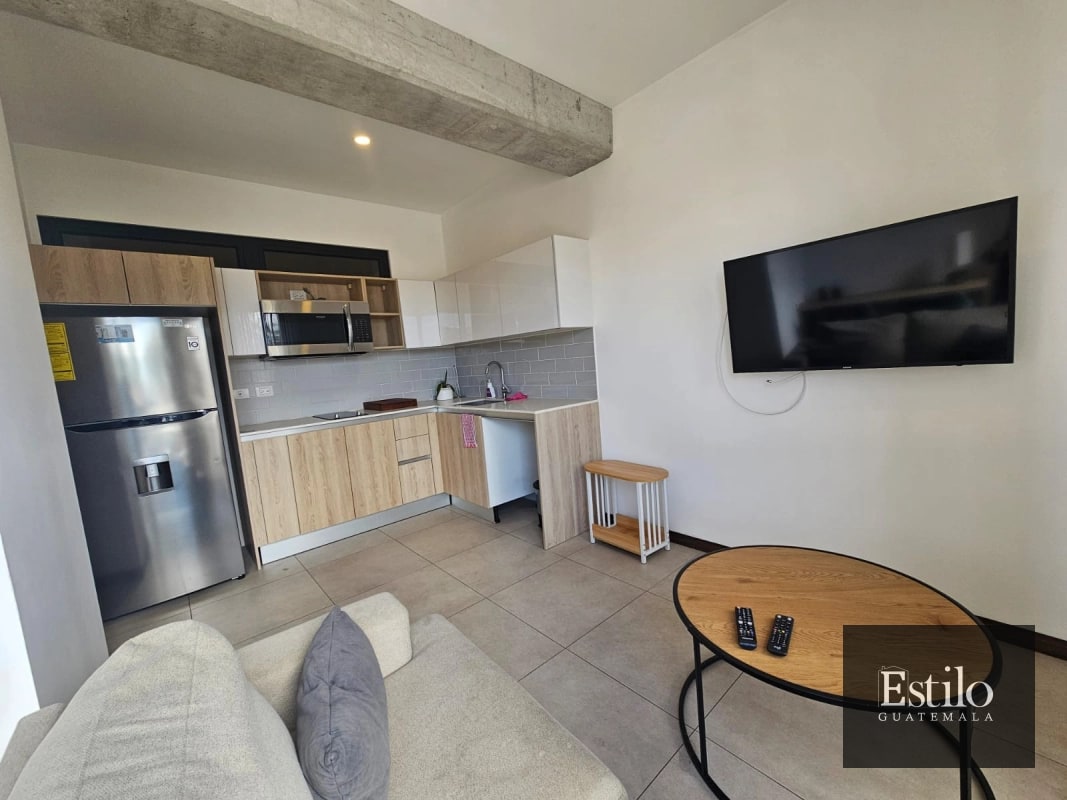 APARTAMENTO AMUEBLADO MIRA Z.10 - 2