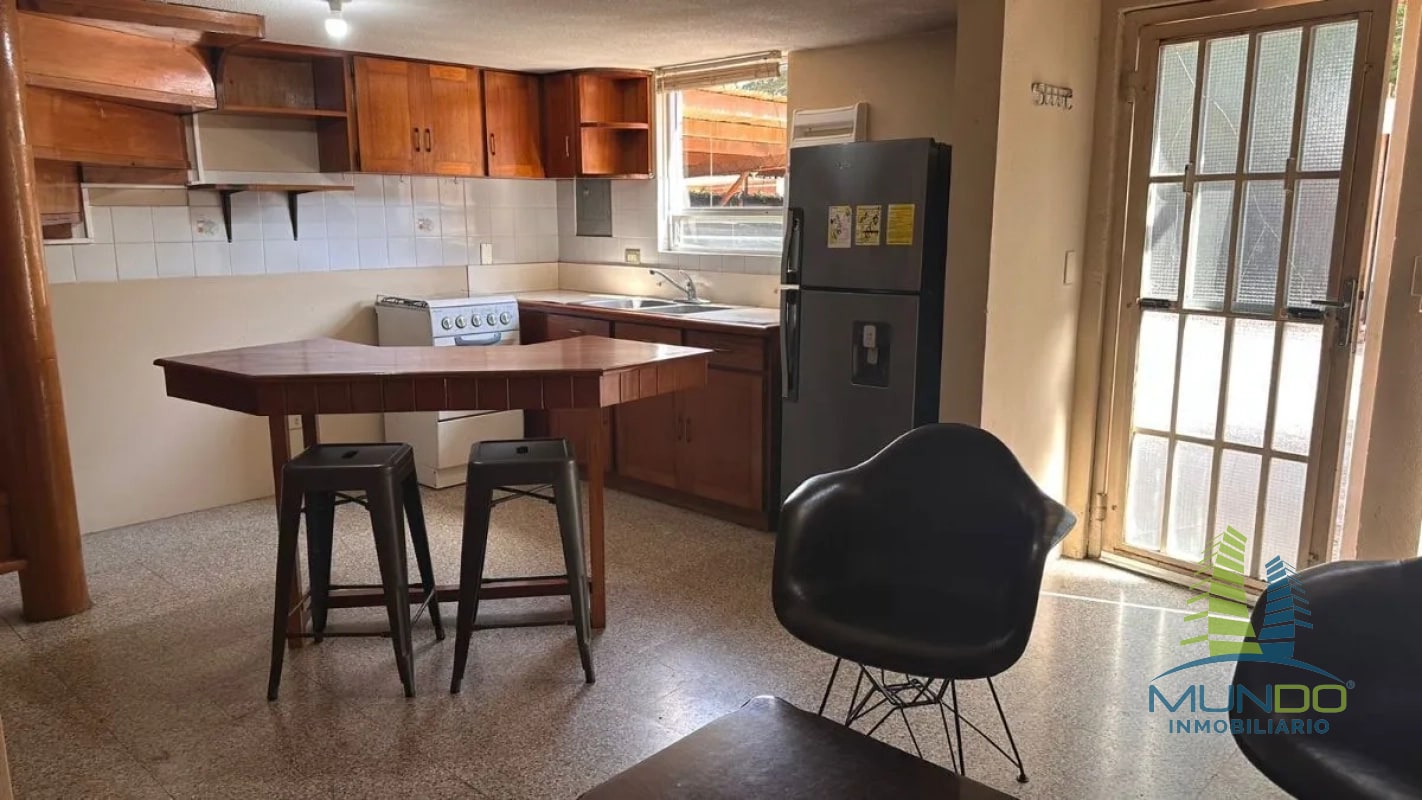 APARTAMENTO TIPO LOFT EN RENTA EN ZONA 15 - 11