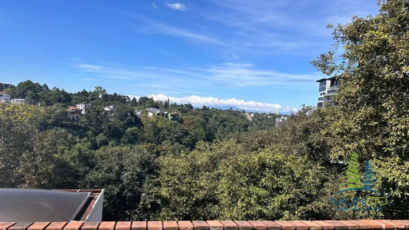 APARTAMENTO TIPO LOFT EN RENTA EN ZONA 15 - 3