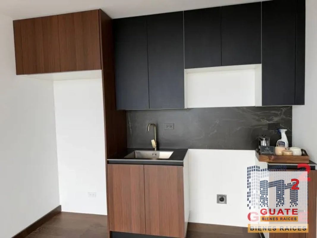 Apartamento en Renta, Zona 10 - 6