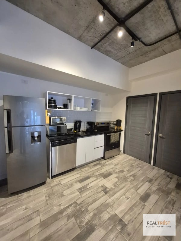 APARTAMENTO AMUEBLADO Y EQUIPADO  EN EL CORAZON DE ZONA 4 - 6