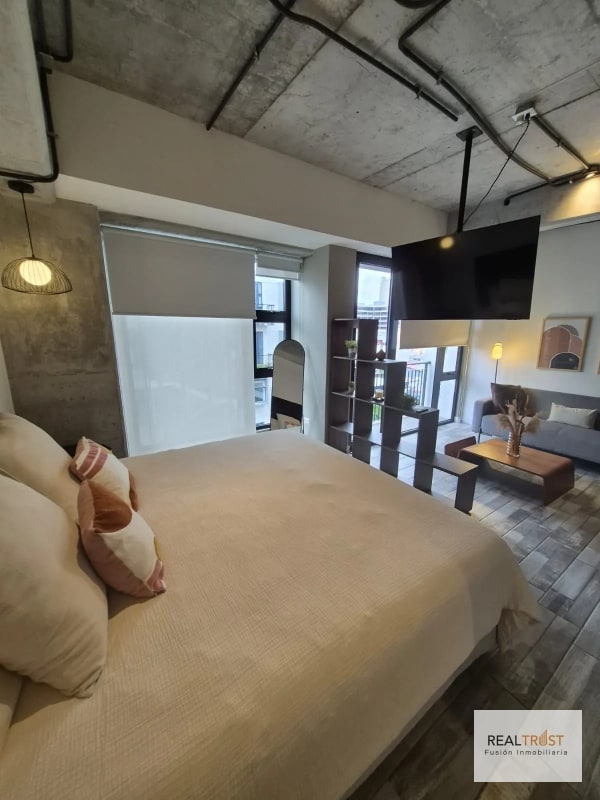 APARTAMENTO AMUEBLADO Y EQUIPADO  EN EL CORAZON DE ZONA 4 - 3