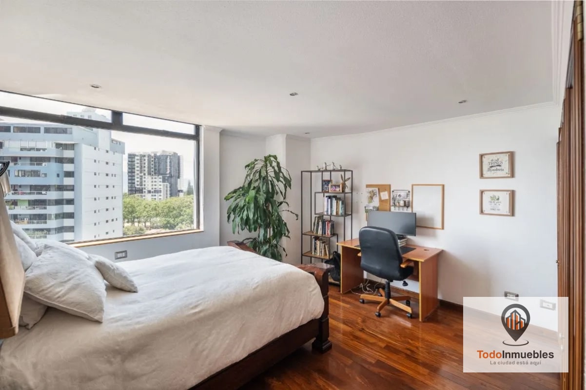 Apartamento Penthouse remodelado en Renta en z14 - 7