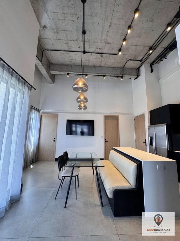 Apartamento Penthouse Loft en Renta en z10 - 3