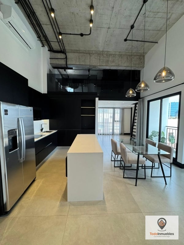 Apartamento Penthouse Loft en Renta en z10 - 8
