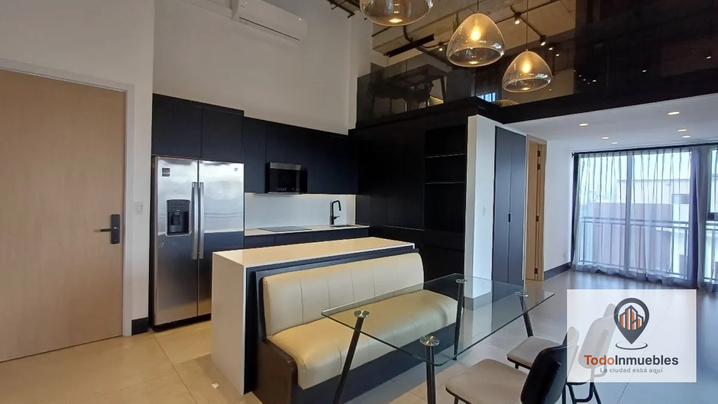 Apartamento Penthouse Loft en Renta en z10 - 11